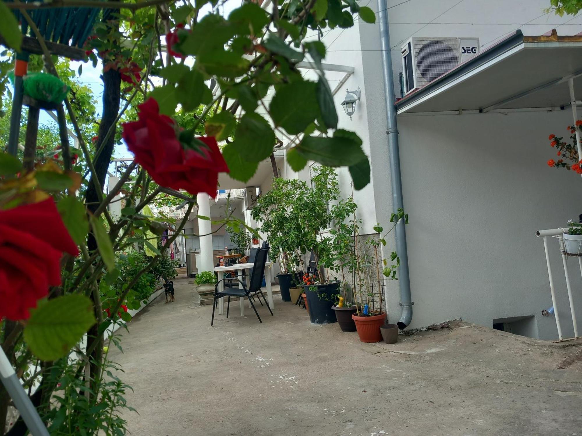 Guest House Dada Mostar Esterno foto
